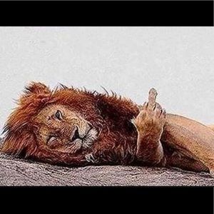 Meet your Posher, Sal